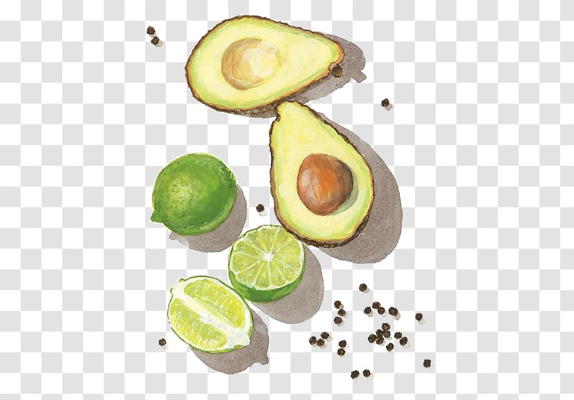 Mousse Watercolor Painting Avocado Drawing - Printmaking - Papaya Transparent PNG