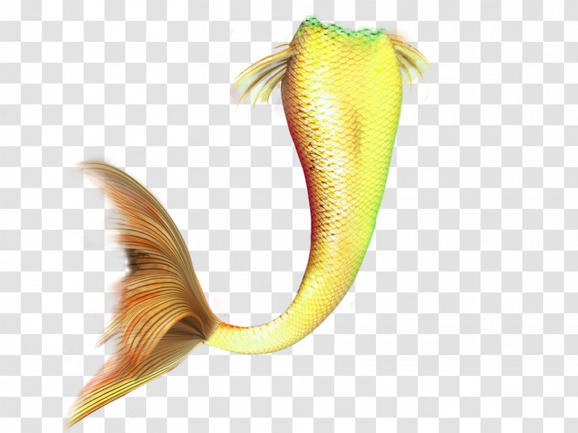 Tail PicsArt Photo Studio Mermaid Tutorial Fish Transparent PNG
