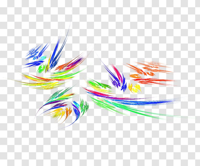 Desktop Wallpaper Computer Feather Close-up Clip Art Transparent PNG