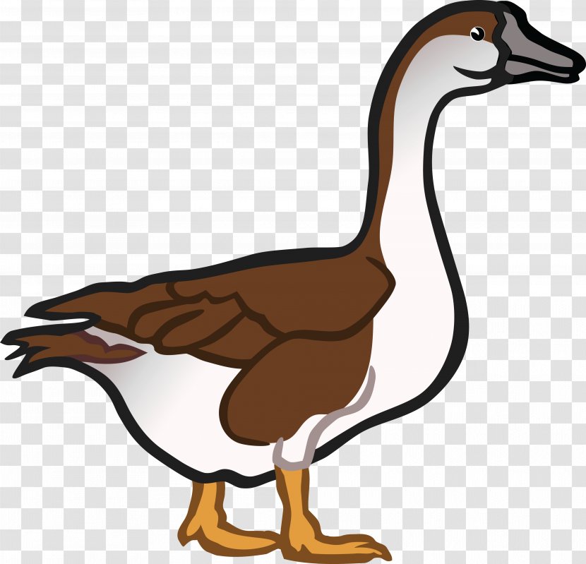 Roast Goose Duck Clip Art - Ducks Geese And Swans Transparent PNG