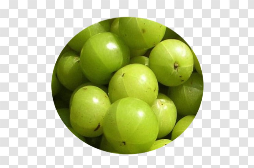 Indian Gooseberry Health Food - India Transparent PNG