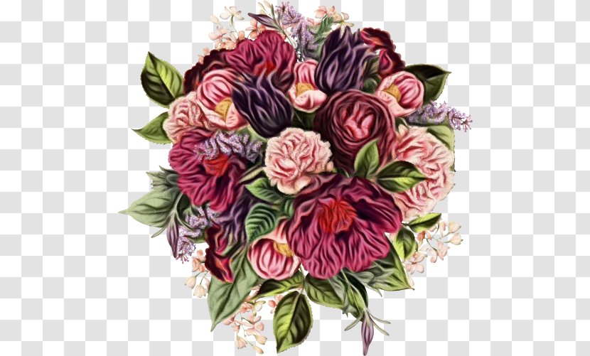 Garden Roses - Watercolor - Rose Family Transparent PNG