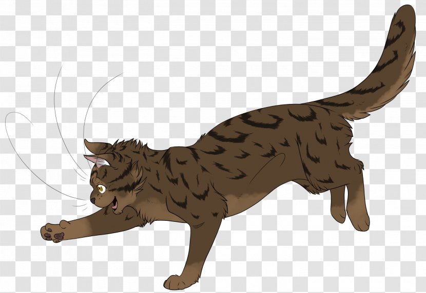 Cat Warriors Halftail Claw Dog - Organism Transparent PNG