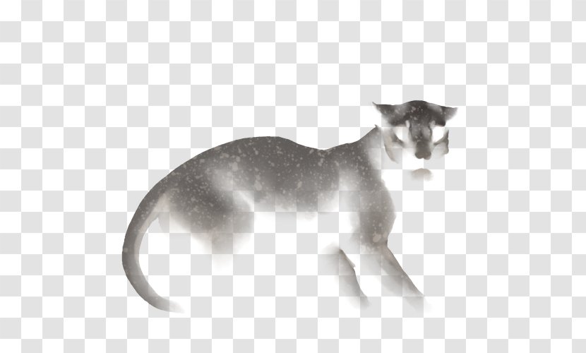 Lion Leopon Cat Carnivora Mane - Carnivoran - Dance Transparent PNG