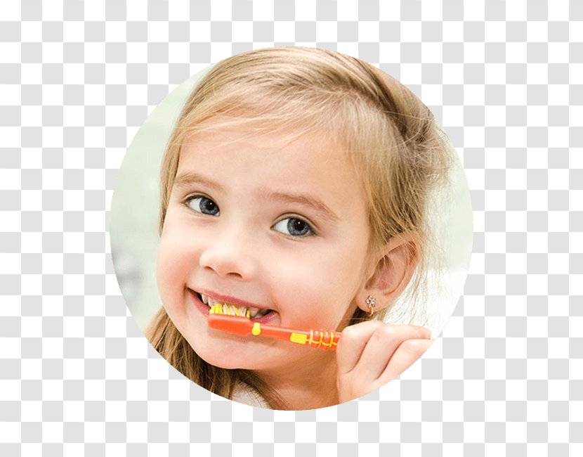 Pediatric Dentistry Health Insurance - Dentist Transparent PNG