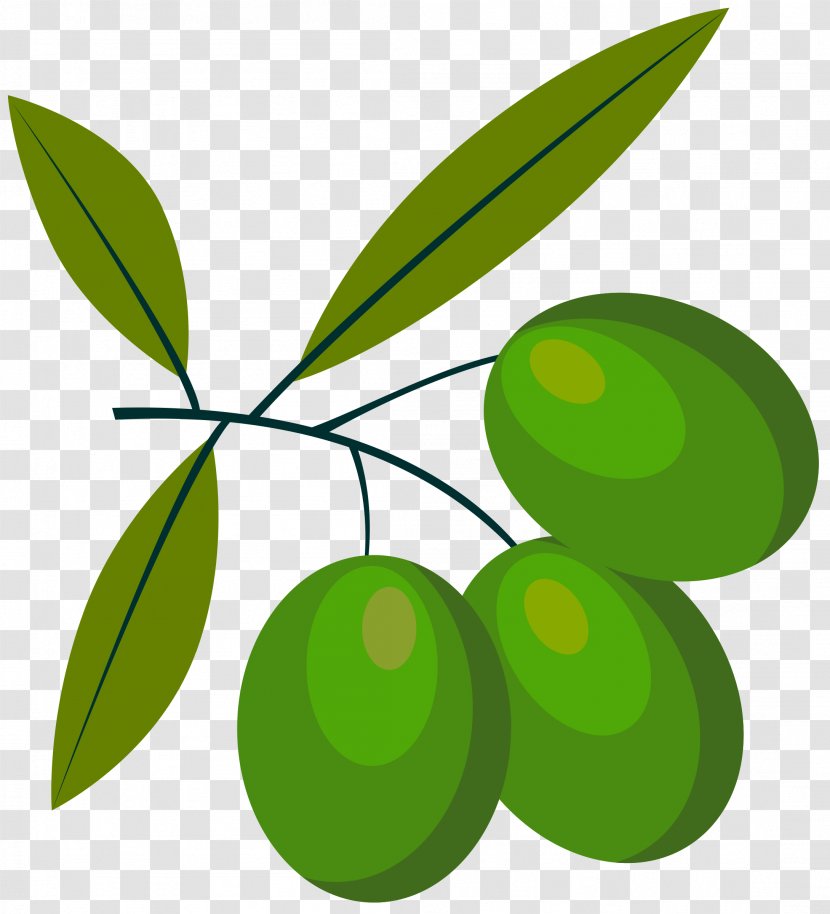 Olive Clip Art - Line - Olives Transparent PNG