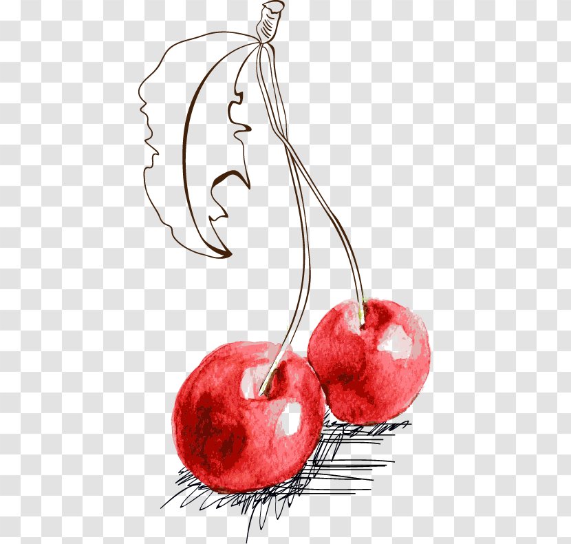 Fruit Cherry Illustration - Superfood - Hand-painted Transparent PNG