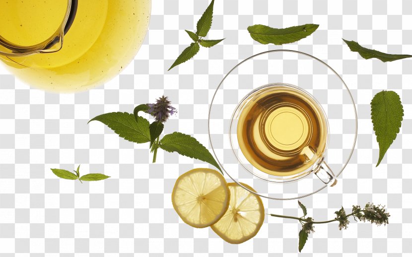Green Tea Iced Drink Microsoft PowerPoint - Orange Juice Glass Sheet Transparent PNG