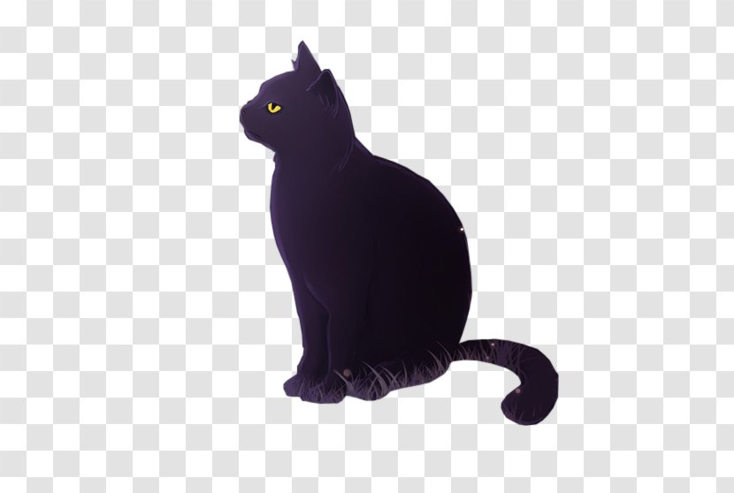 Bombay Cat Black Kitten Whiskers Domestic Short-haired - Noble Transparent PNG