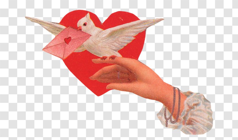 Valentine's Day Love God Lipog Rose - Hand Transparent PNG