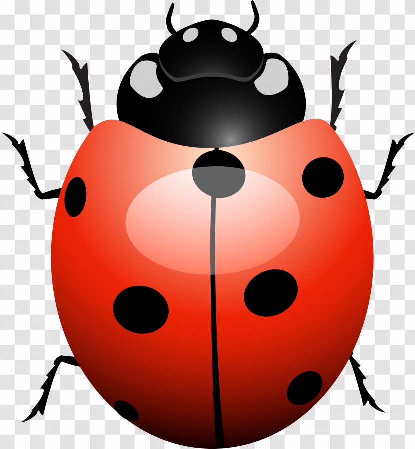 Ladybird Beetle Software Bug Testing Transparent PNG