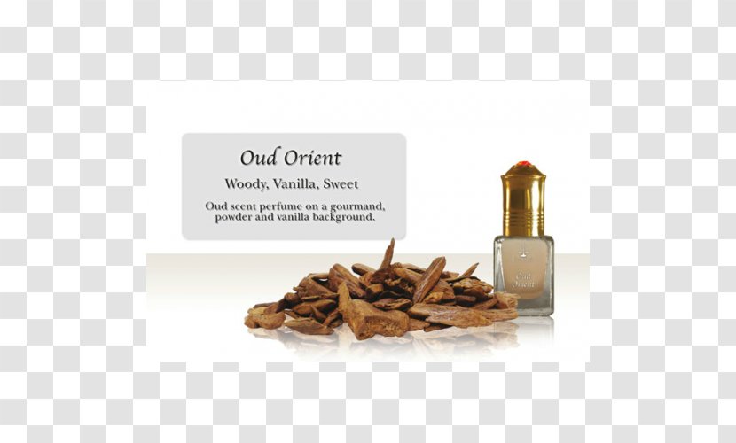 Perfume Musk Fragrance Oil Flavor Patchouli - Olfaction - Arabian Oud Transparent PNG