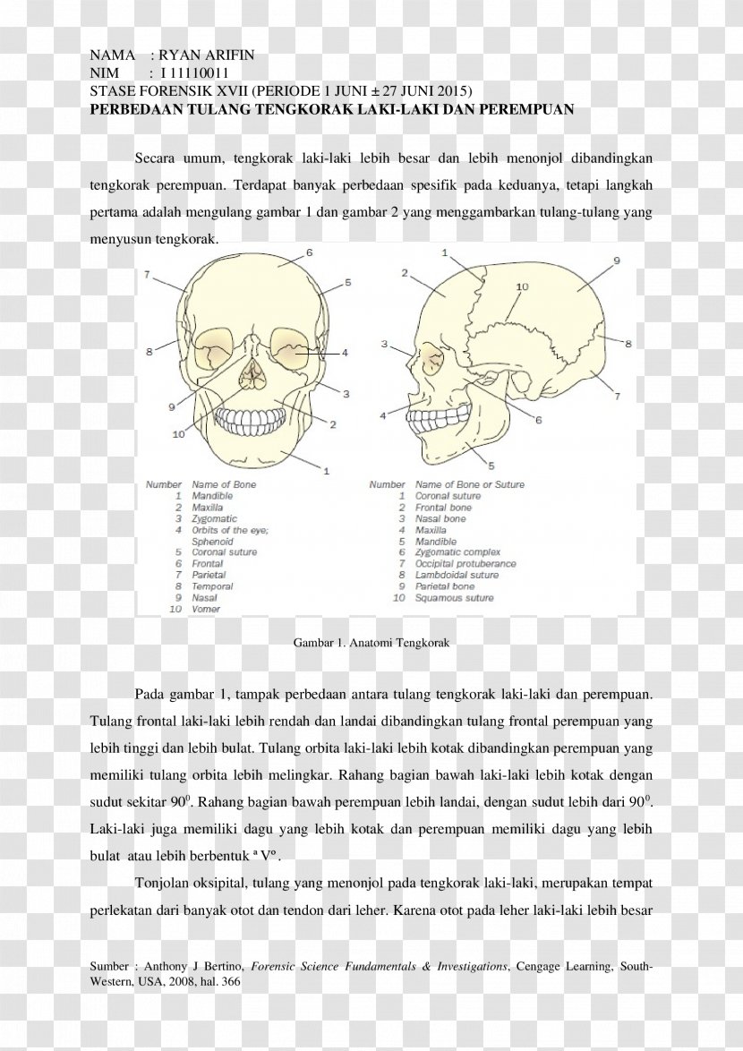 Homo Sapiens Bone Document Human Behavior - Flower - Design Transparent PNG