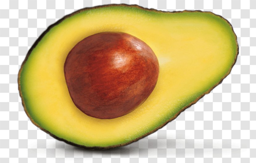 Avocado Clip Art - Food Transparent PNG