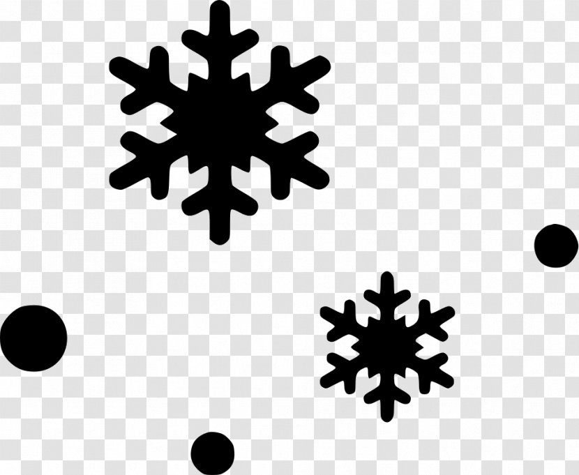 Snowflake - Black And White - Flower Transparent PNG