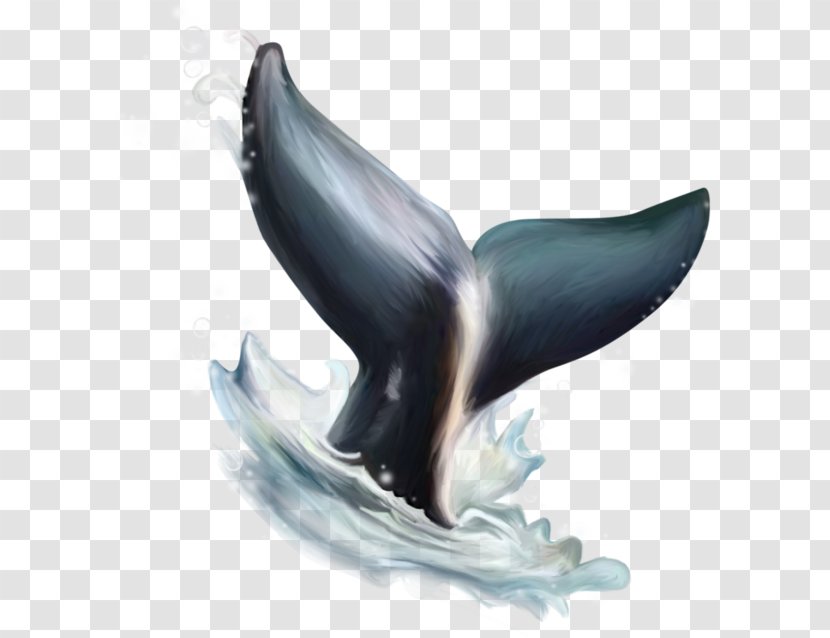 Dolphin Watercolor Painting Clip Art - Whale - Dolphin's Tail Transparent PNG