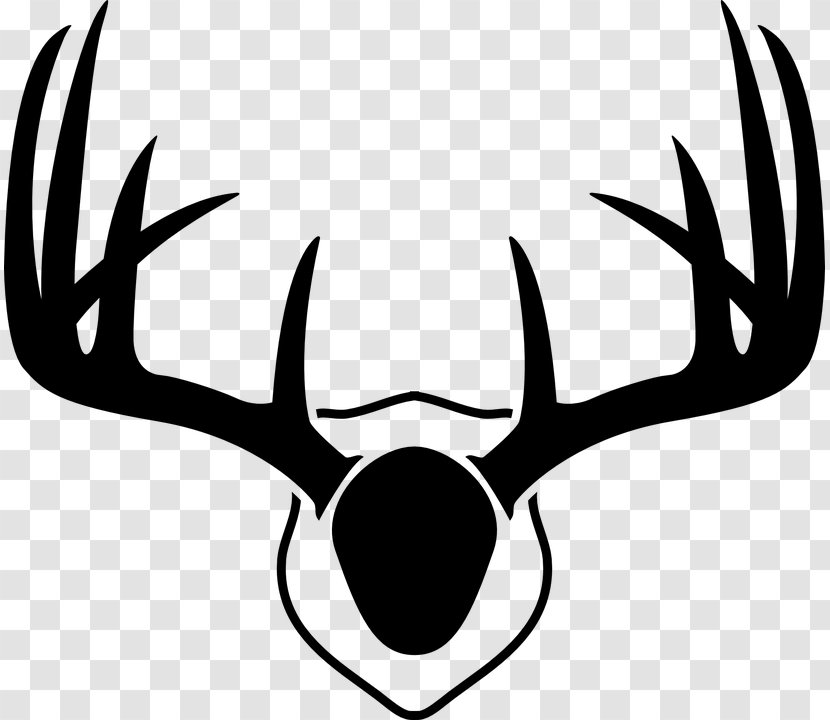 Horn Head Antler Eye Snout - Line Art - Deer Transparent PNG