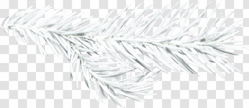 Line Art Drawing White Tree /m/02csf - Artwork Transparent PNG