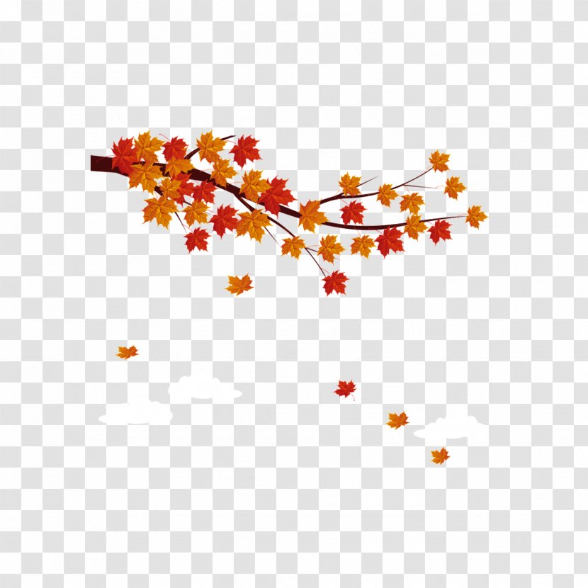 Autumn Maple Leaf - Area - Orange Transparent PNG