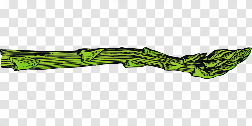 Green Plant Vegetable Asparagus Transparent PNG