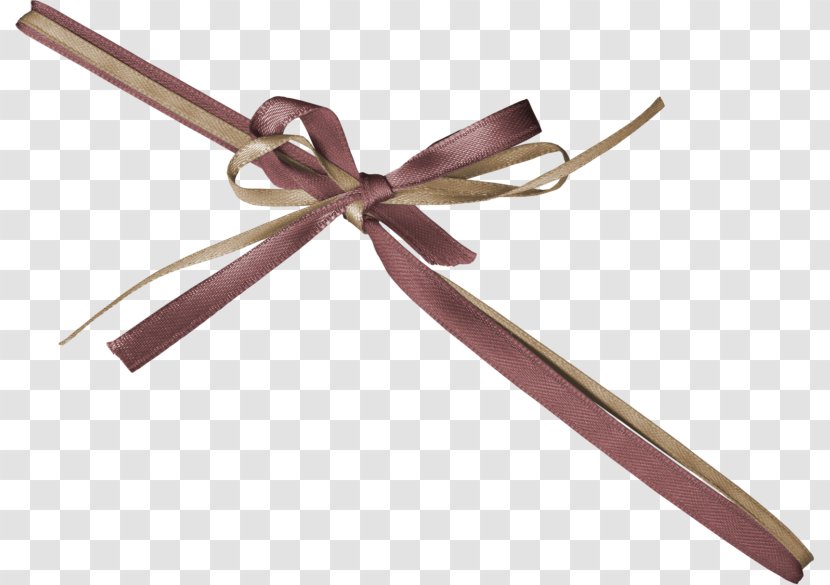 Ribbon Decorative Box Shoelace Knot Textile - Metal Transparent PNG
