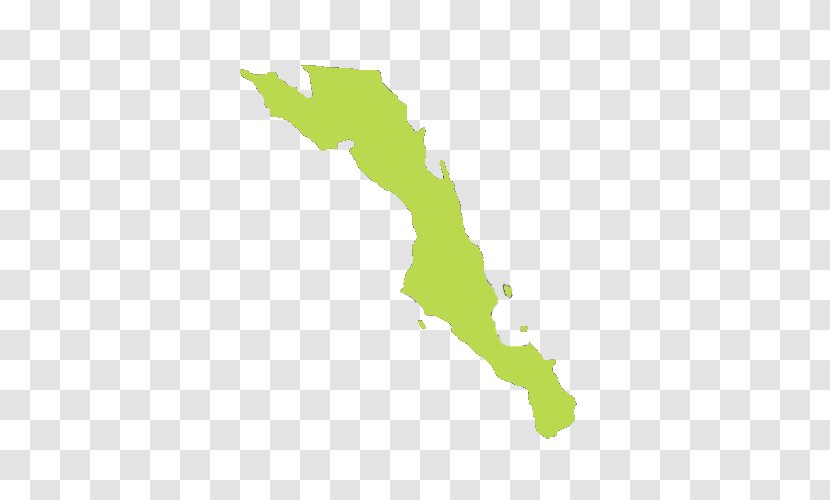 Estado De Baja California Sur State Norte - Cádiza Transparent PNG