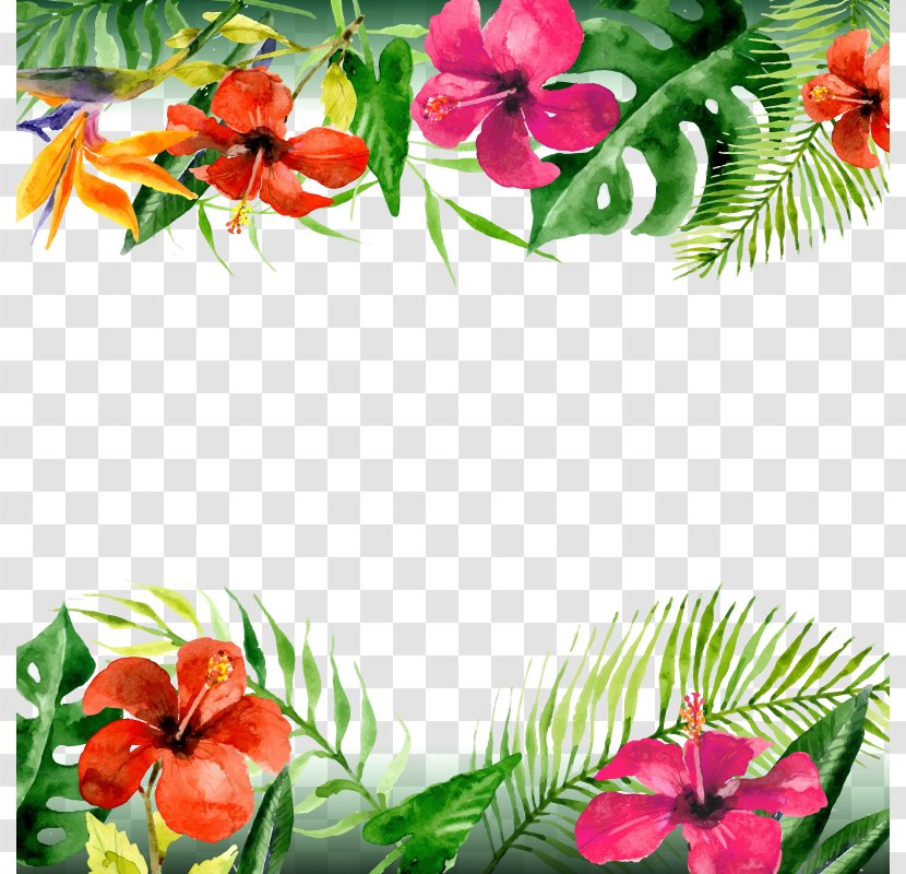 Leaf Arecaceae Flower - Cut Flowers - Vector Summer Transparent PNG