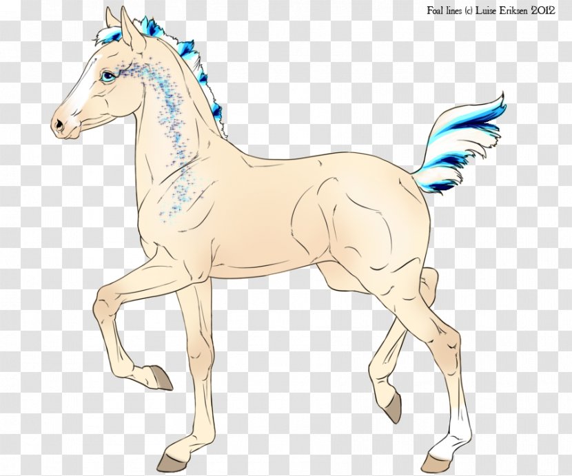 Foal Mustang Mane Pony Stallion - Mammal Transparent PNG
