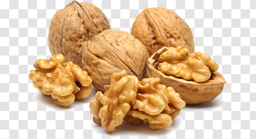 Organic Food Iranian Cuisine Walnut Dried Fruit - Snack Nuts Clip Transparent PNG