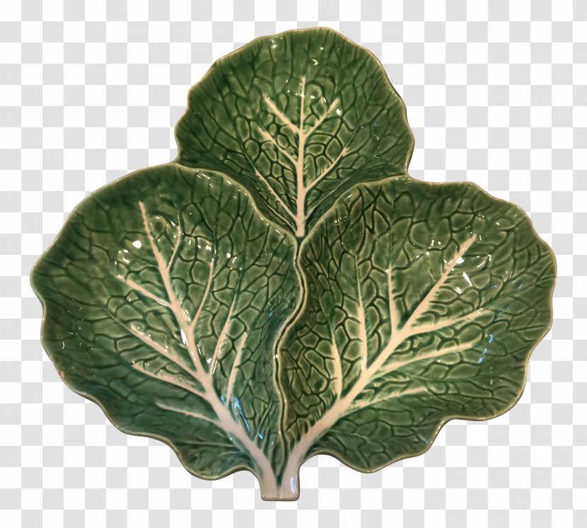 Spring Greens Collard Leaf - Savoy Cabbage Transparent PNG