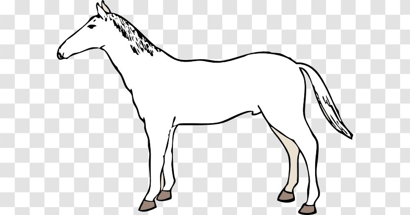 Mule Mustang American Paint Horse Quarter Mare - Vector Transparent PNG