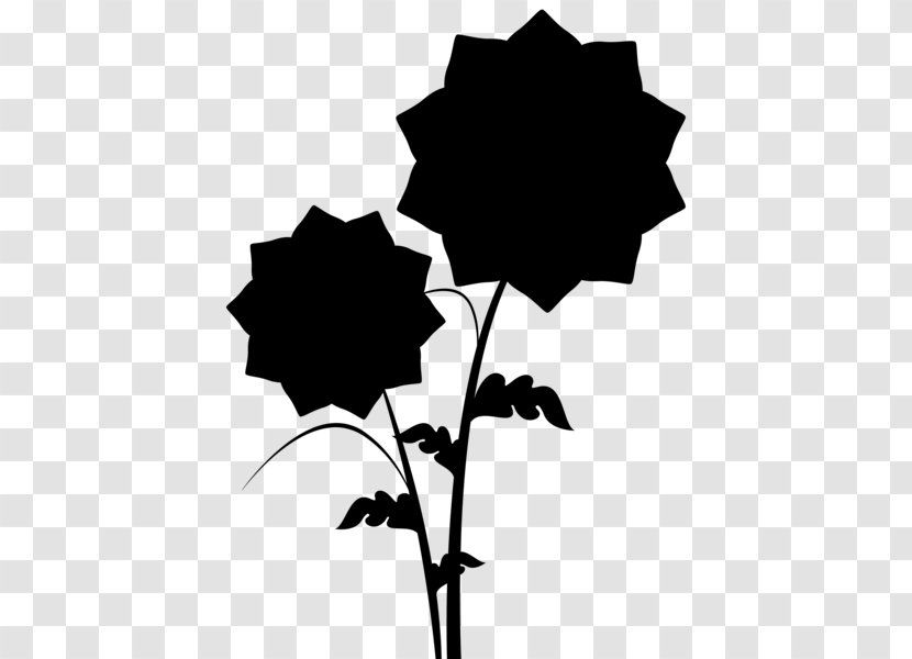 Rose Family Plant Stem Flower Leaf - Plants - Holly Transparent PNG