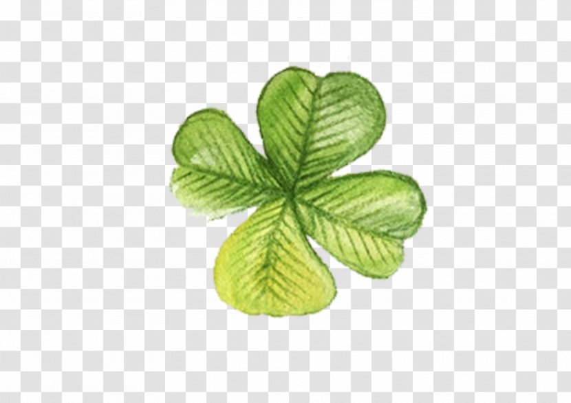 Four-leaf Clover Luck - Painted Transparent PNG