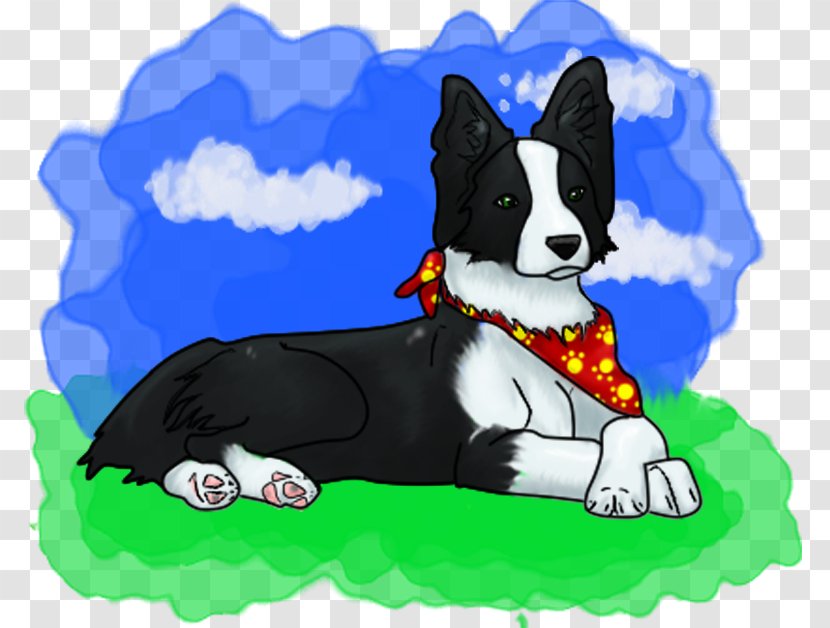 Dog Breed Karelian Bear Border Collie Puppy Rough - Mammal Transparent PNG