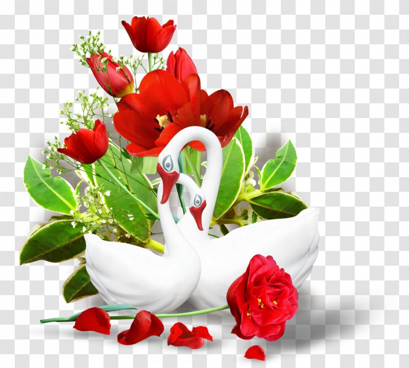 Flower Clip Art - Plant - Real Transparent PNG