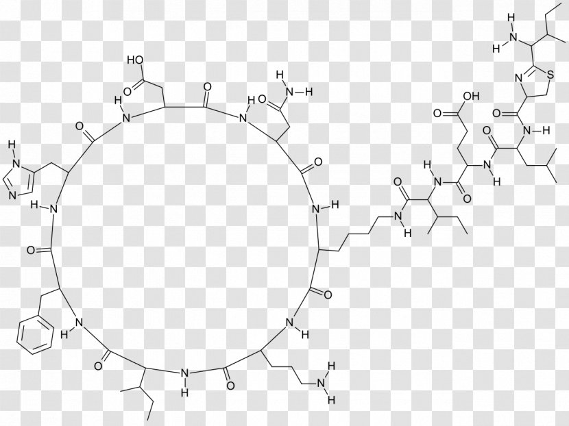 Bacitracin/polymyxin B Antibiotics Polypeptide Antibiotic Neomycin/polymyxin B/bacitracin - Diagram - Subtilis Transparent PNG