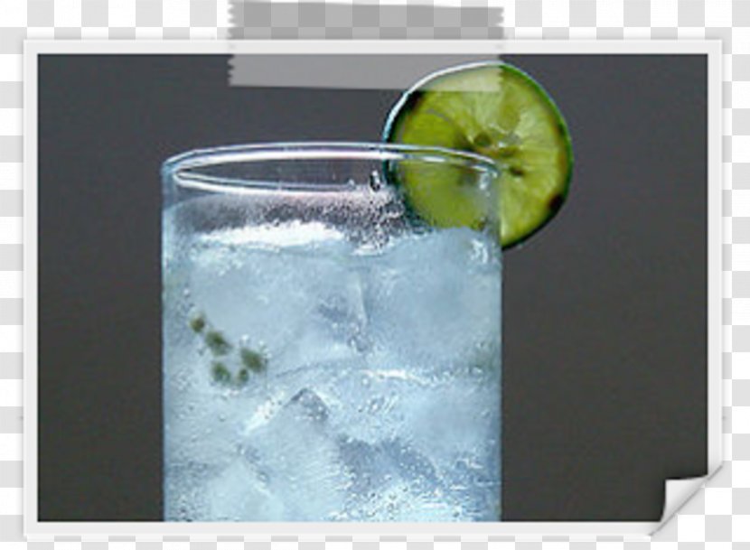Rickey Gin And Tonic Vodka Cocktail Garnish Sea Breeze Transparent PNG