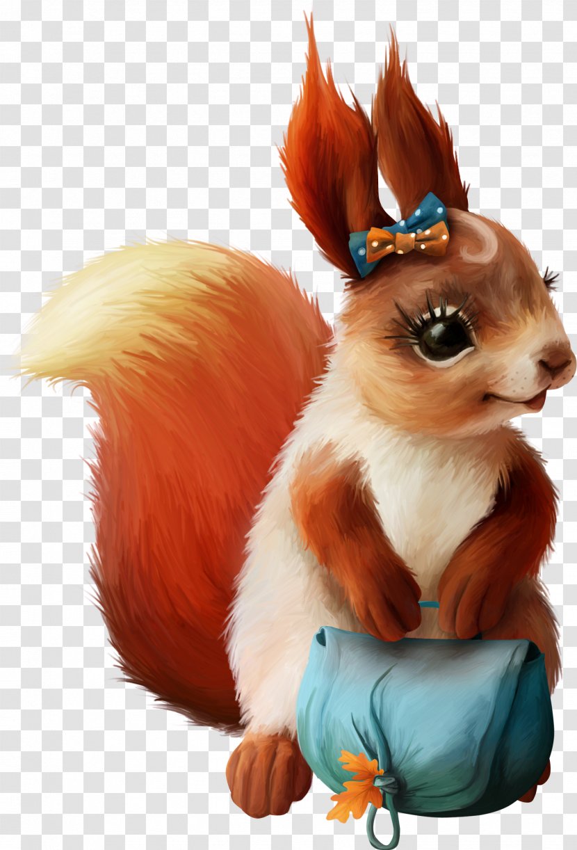 Squirrel Drawing Clip Art - Tail Transparent PNG