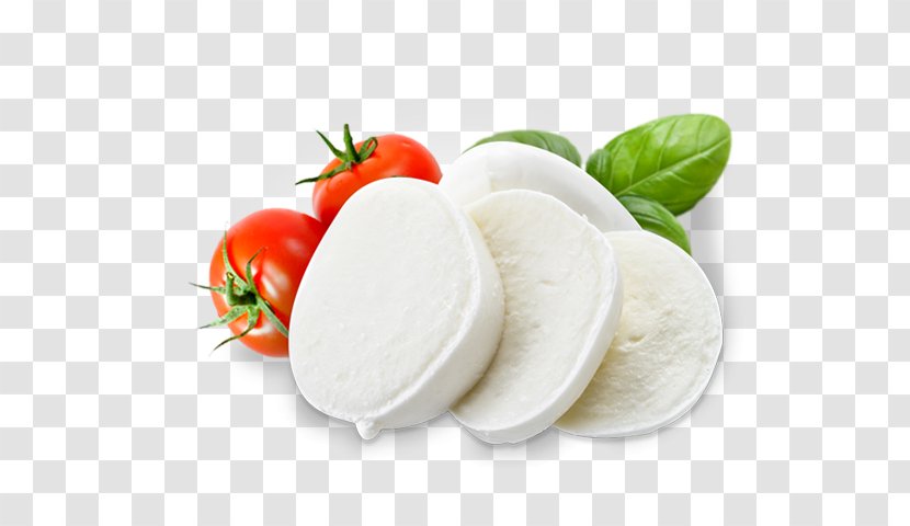 Mozzarella Beyaz Peynir Processed Cheese Diet Food Transparent PNG