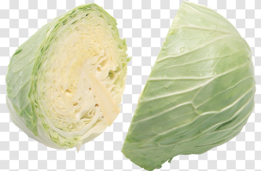 Cabbage Roll Vegetable Red Transparent PNG
