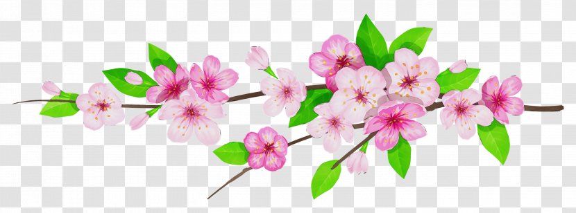 Watercolor Pink Flowers - Wet Ink - Spring Botany Transparent PNG