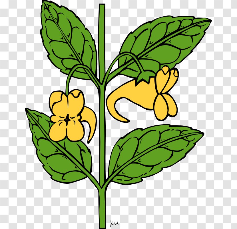 Flower Poppy Plant Clip Art - Public Domain Drawings Transparent PNG