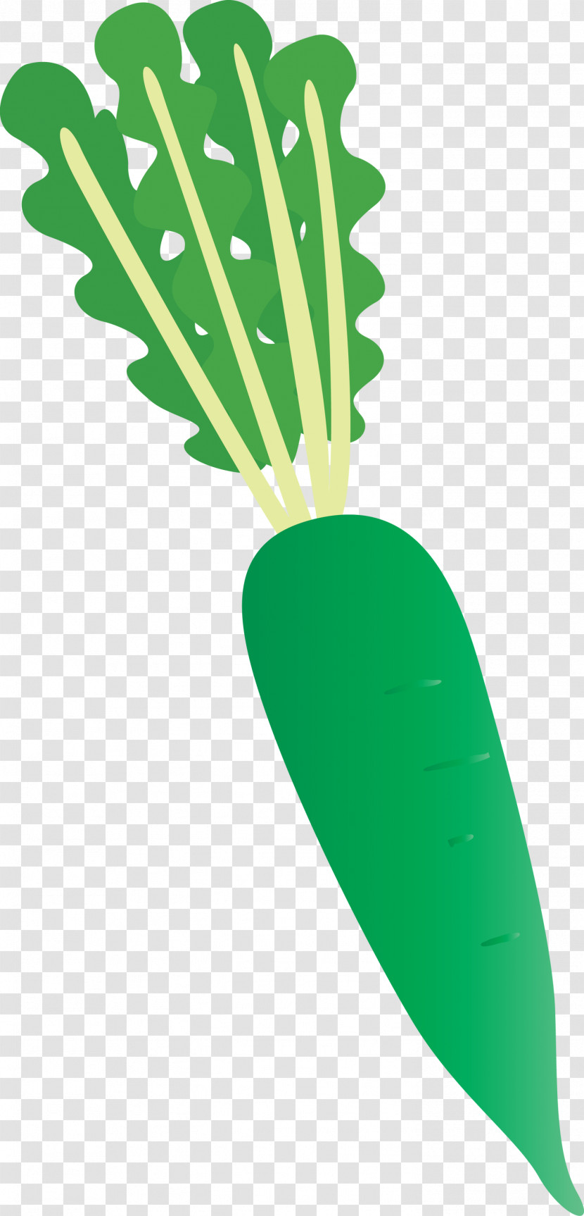 Radish Transparent PNG