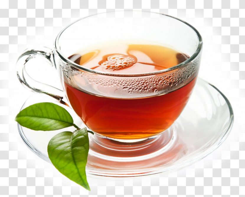 Green Tea Coffee Production In Sri Lanka - Grog - File Transparent PNG