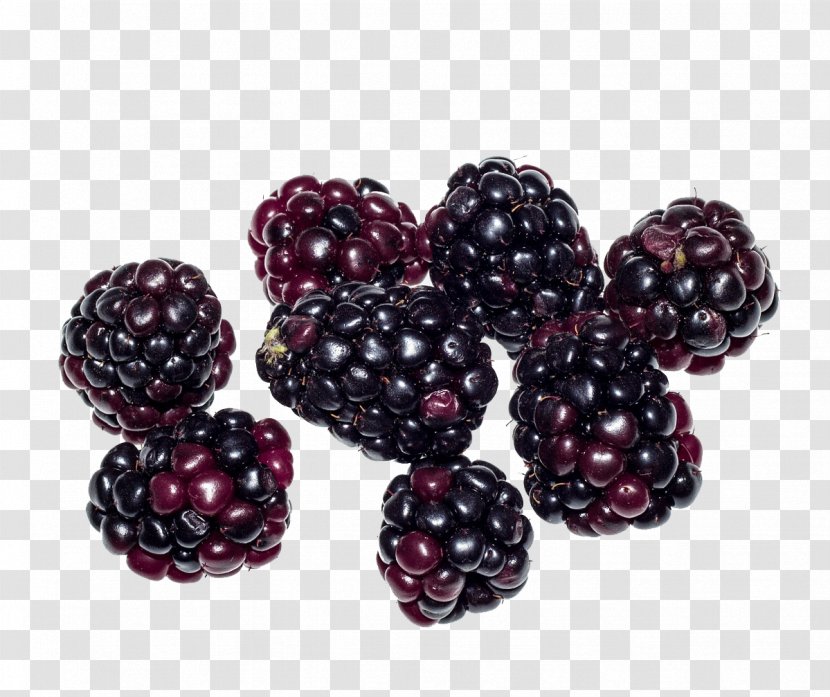 Boysenberry Loganberry Tayberry Raspberry Blackberry - Frutti Di Bosco Transparent PNG