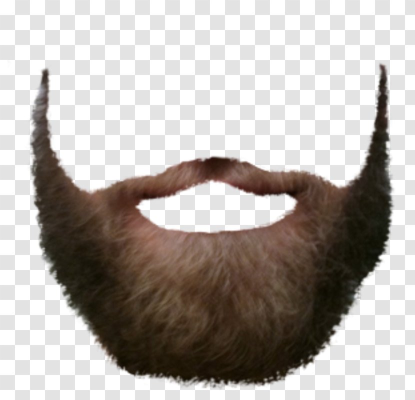 Beard Image File Formats Clip Art - Snout Transparent PNG