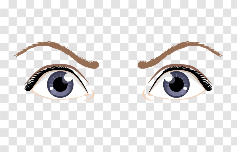 Eyebrow Visual Perception Drawing - Tree - Eye Transparent PNG