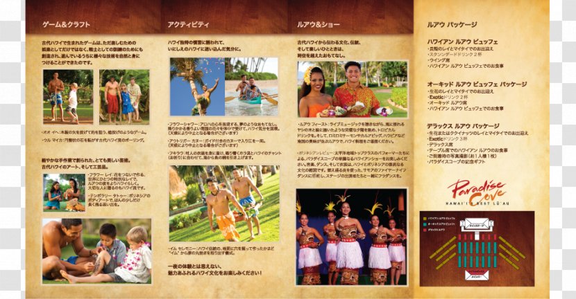 Team Vision Marketing Agency Advertising Paradise Cove Luau - Brochure - Ad Pamphlet Transparent PNG