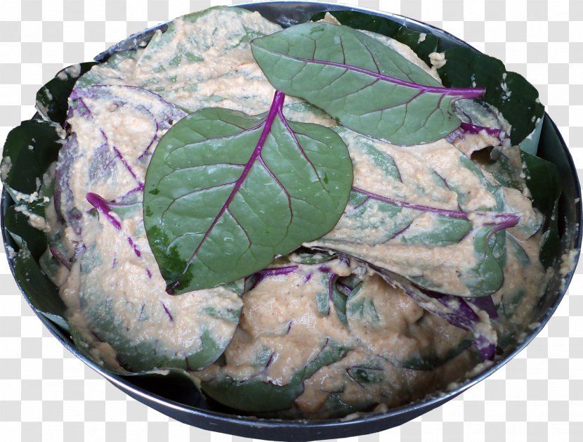 Leaf Vegetable Plant Pathology - Food Transparent PNG