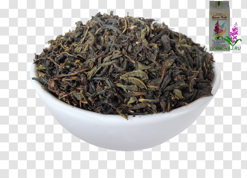 Hōjicha Nilgiri Tea Oolong Earl Grey - Ceylon Transparent PNG